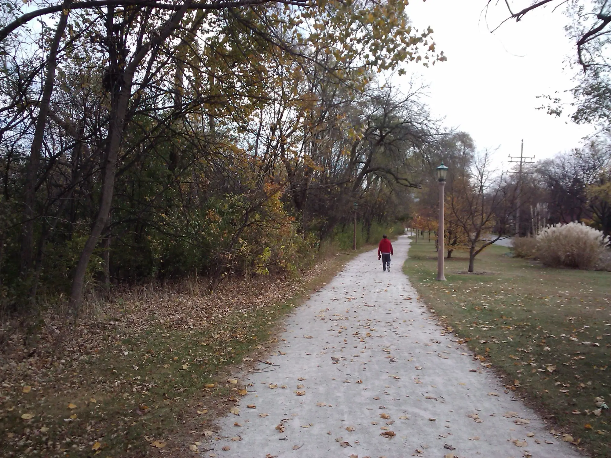 Tree-lined Illinois prairie path beneath a green canopy